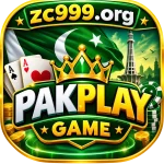PAKPLAY GAME