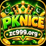 PKNICE GAME