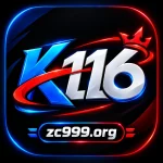 K116 GAME